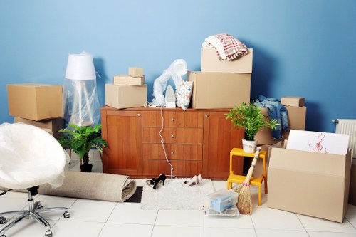 Organized storage unit for furniture in Stratford